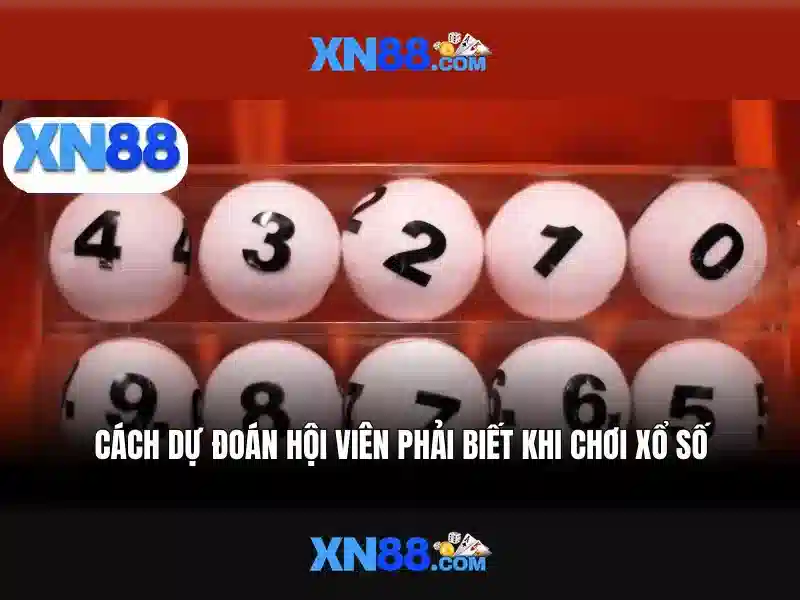 Giới thiệu về xn88