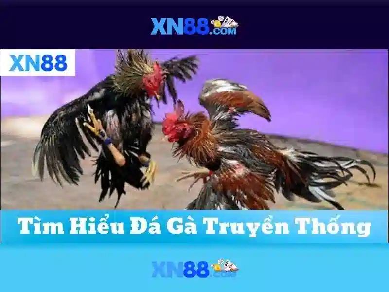 Lợi ích khi tham gia xn88
