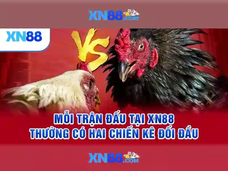xn88 app.com – Trải nghiệm đỉnh cao và chiến lược thương hiệu