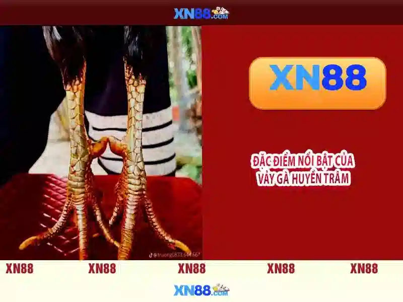 xn88 sa – Chuẩn mới cho trải nghiệm uy tín và an toàn