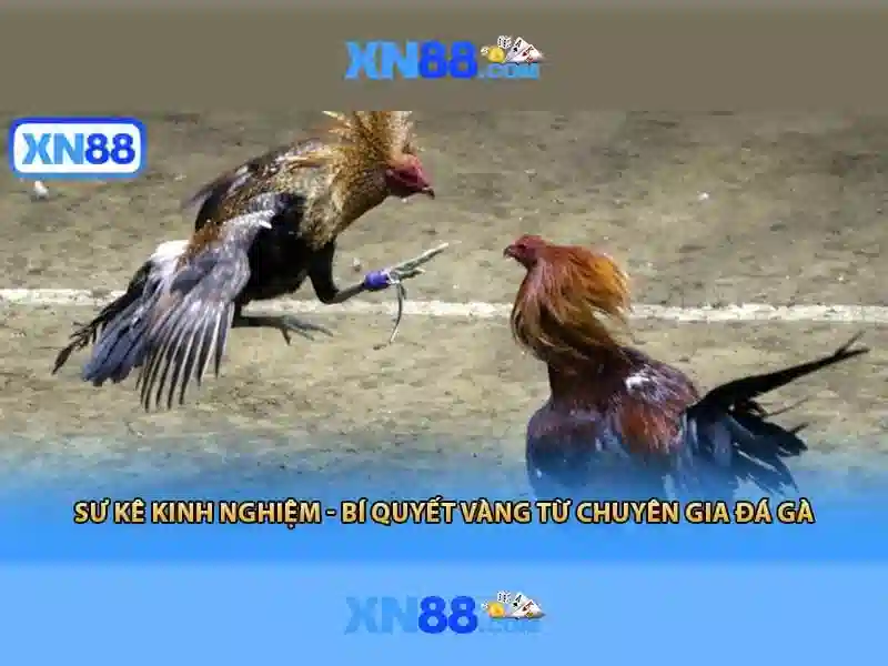 Quyo trinh xac thuc tai khoan