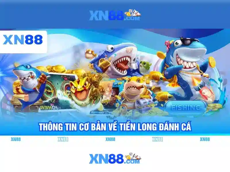 Giới thiệu về xn88