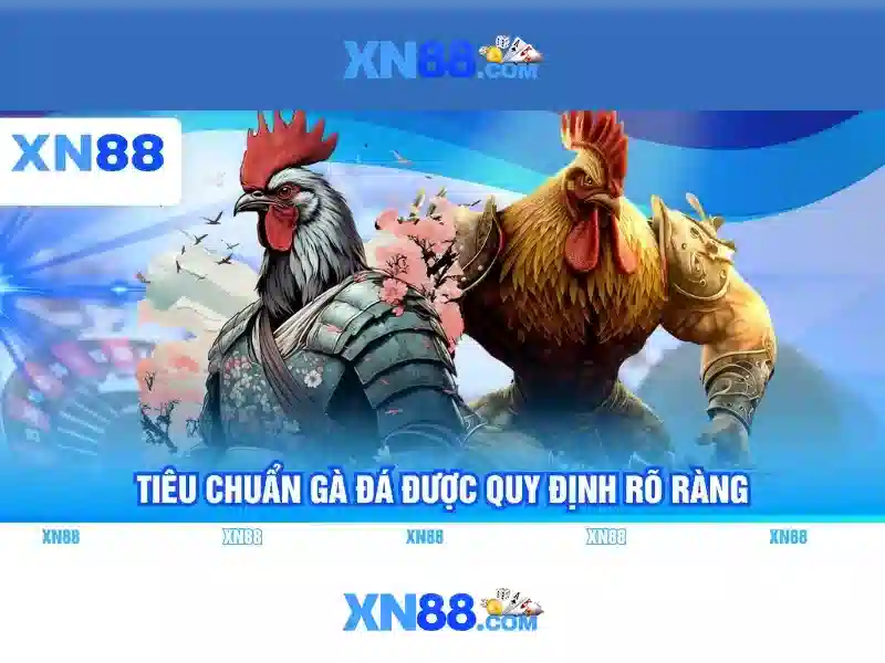 Đánh giá và lưu ý khi tham gia