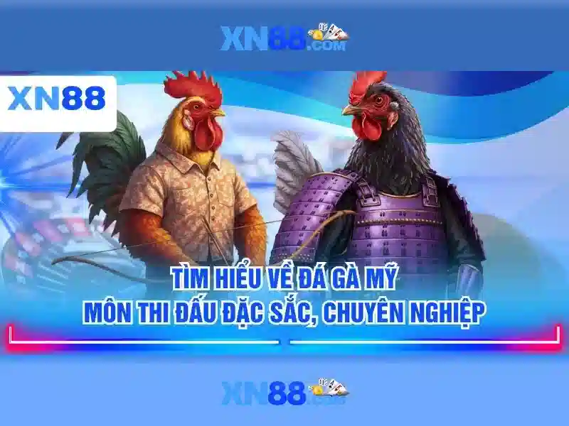 Trai nghiem nguoi dung va phan hoi cong dong xn88 app