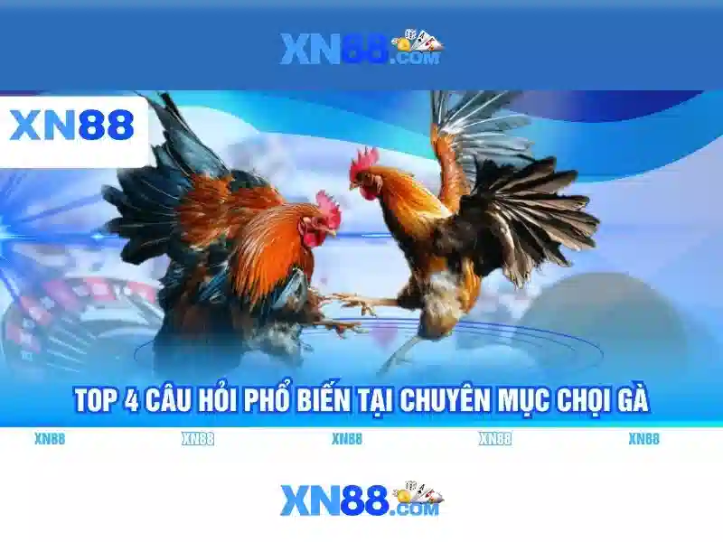 tải app xn88 – Trải nghiệm người dùng và phản hồi cộng đồng