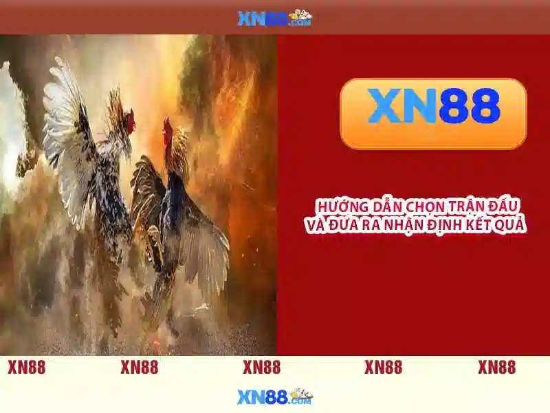xn88 casino – Tổng quan chủ đề và Giá trị cốt lõi