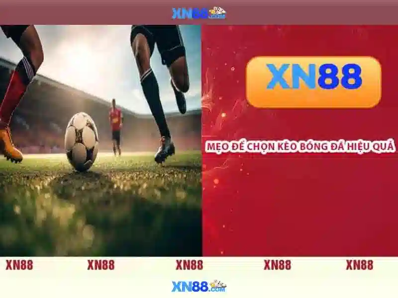 xn88 lừa đảo: nhận diện và trải nghiệm tin cậy