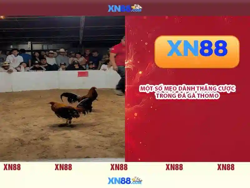 Giao_dien_xn88_da_nang_cao