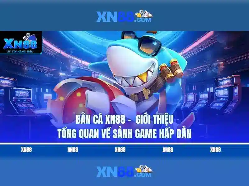Tam quan trong cua quyen va nghia vu nguoi choi tai xn88