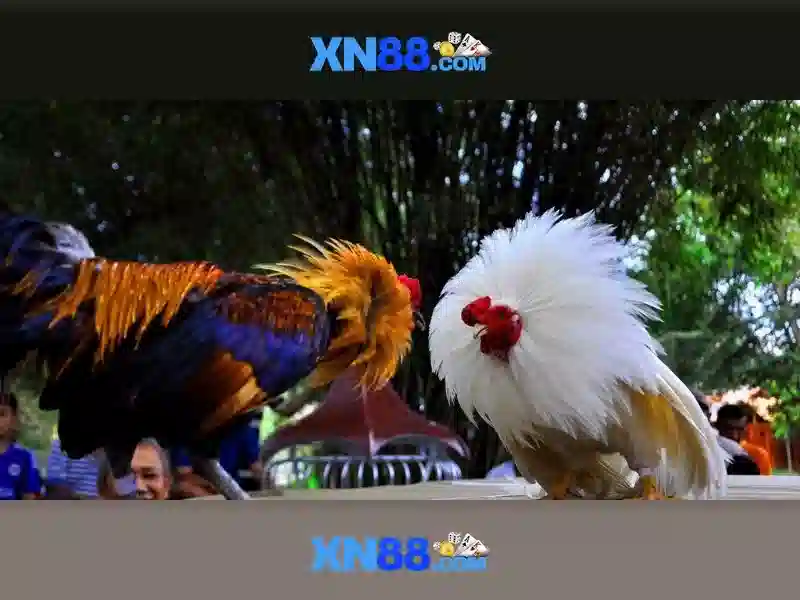 An toàn và hỗ trợ người dùng