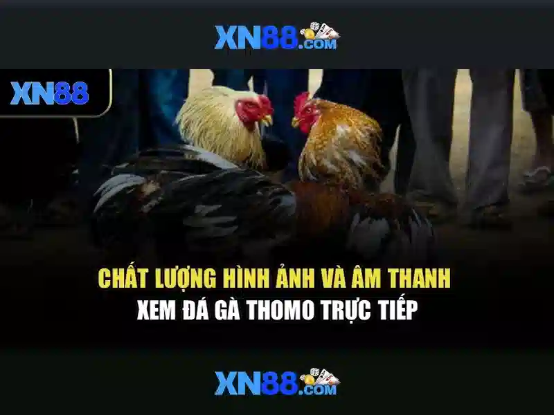 Lợi ích của xn88 cho người chơi Việt