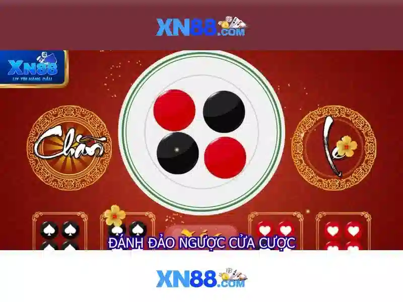Giới thiệu về xn88