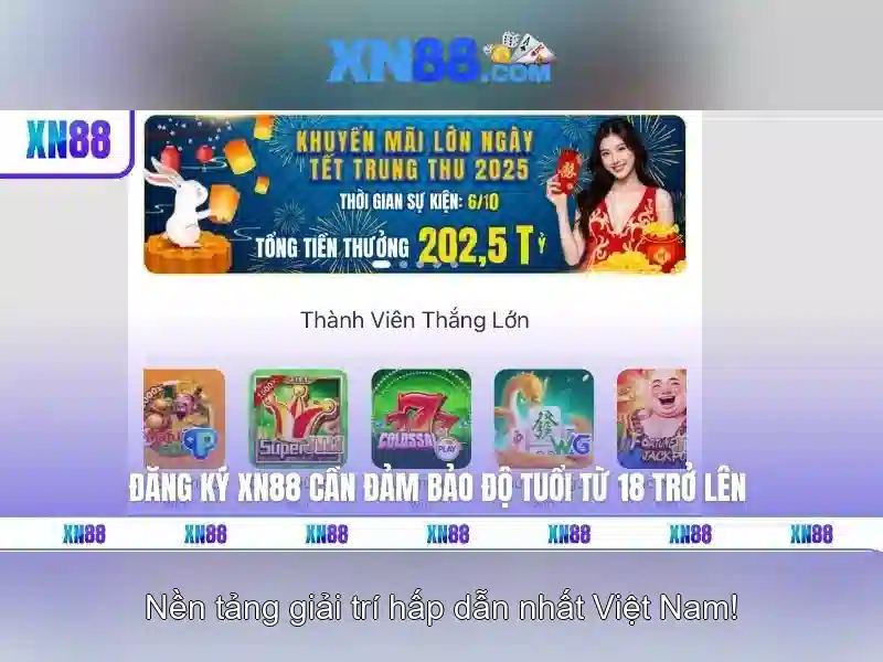 Các tính năng chính