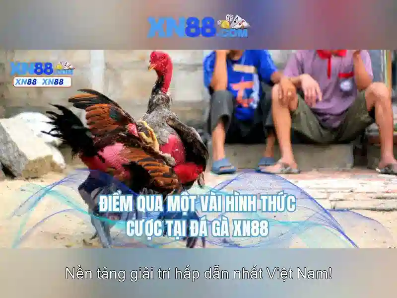 An toàn và tin cậy