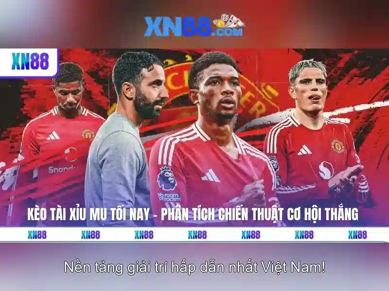 Các sản phẩm chính của xn88