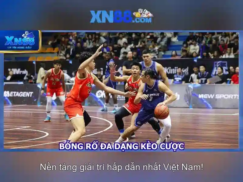 Hỗ trợ khách hàng