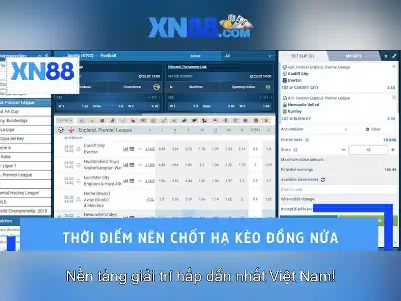Trải nghiệm người dùng và phản hồi cộng đồng