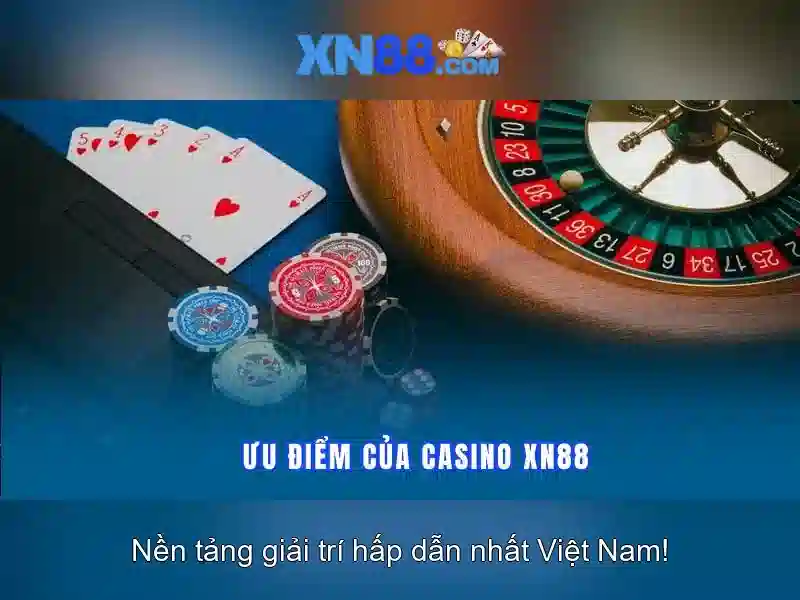 Trải nghiệm người dùng và giao diện